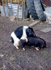 Image0868