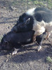Image0869
