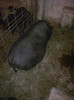 Image0872