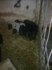 Image0873