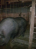 Image0875
