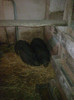 Image0877