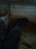 Image0878