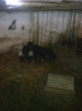 Image0881