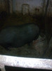 Image0884