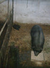 Image0885