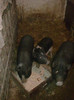 Image0887