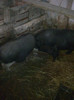 Image0888
