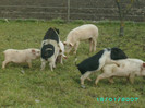 PICT0021