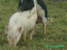PICT0022