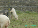 PICT0023