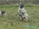 PICT0024