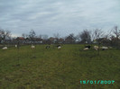 PICT0025