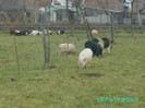 PICT0026