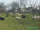 PICT0028