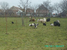PICT0029