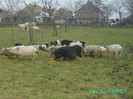 PICT0031