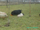 PICT0032