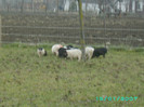 PICT0039