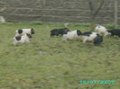 PICT0044