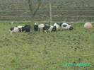 PICT0045