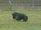 PICT0047