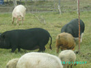 PICT0048