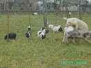PICT0050