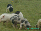 PICT0054