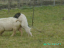 PICT0055