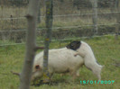 PICT0056