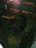 Image0472
