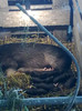 Image0488