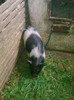 Image0491
