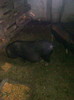 Image0493