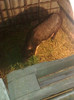 Image0495