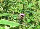 P1110317