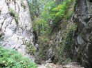P1130677