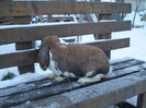 montata 25.01.12