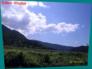 39. Valea Oltului (7)