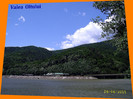58. Valea Oltului (21)
