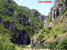 200. Cheile Sohodolului (15)