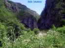 219. Cheile Sohodolului (34)