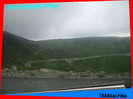 278. Spre Pasul Muntinu (Transalpina)