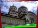 344. Alba Iulia (Catedrala Ortodoxa)(4)