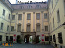 393. Muzeul Brukenthal (2)