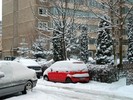 Bubu 25-01-2012