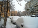 BRASOV 25-01-2012