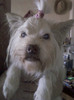 my lucky-boy...