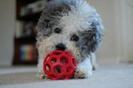 images (29)